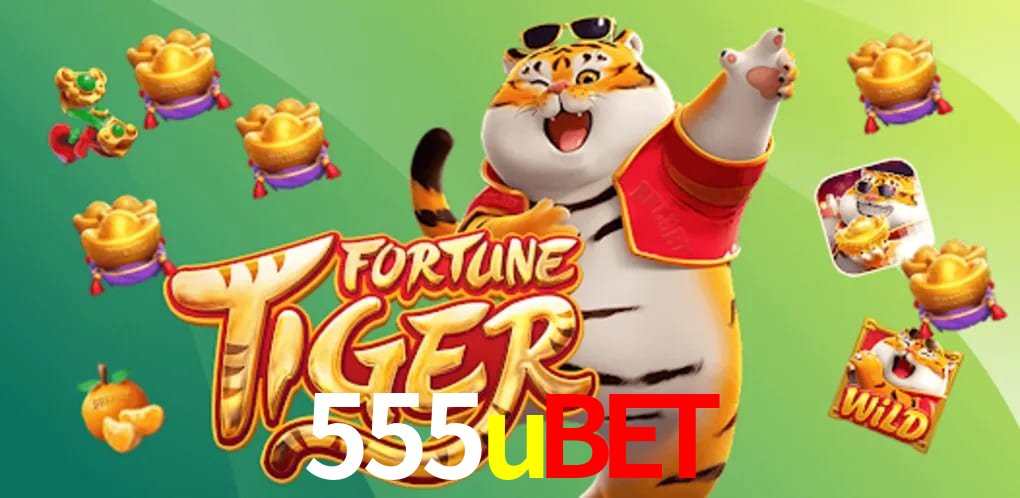Experiência VIP 555ubet